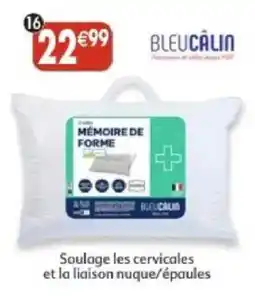 Maximo BLEUCÂLIN MÉMOIRE DE FORME offre
