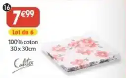 Maximo Calixtus torchon offre