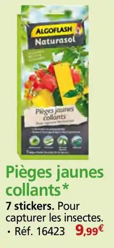 Provence Outillage ALGOFLASH Naturasol Pièges jaunes collants offre