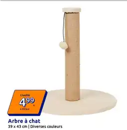 Action Arbre à chat offre