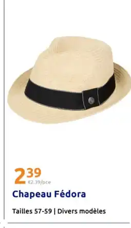 Action Chapeau Fédora offre