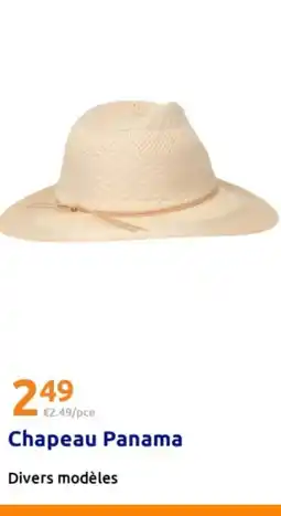 Action Chapeau Panama offre