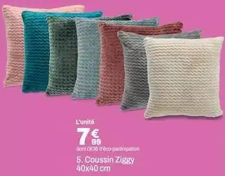 BUT Coussin ziggy offre