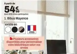 BUT Bibus mayence offre