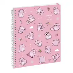 Bureau Vallée Cahier de texte pembe offre