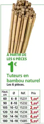Provence Outillage Tuteurs en bambou naturel offre