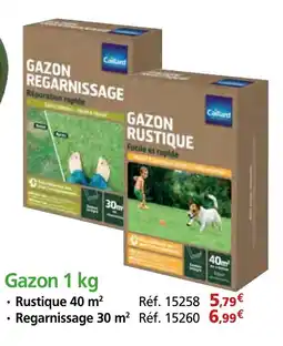 Provence Outillage Gazon offre