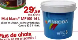 Provence Outillage PINRODA Mat blanc MF100. offre