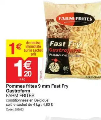 Promocash Pommes frites 9 mm Fast Fry Gastrofarm offre