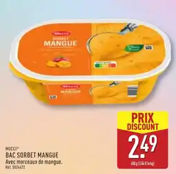 ALDI MUCCI BAC SORBET MANGUE offre