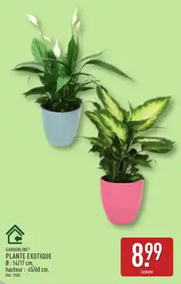 ALDI GARDENLINE PLANTE EXOTIQUE offre