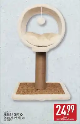 ALDI CACHET ARBRE À CHAT offre