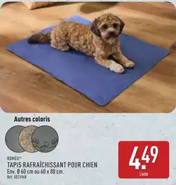 ALDI ROMÉO TAPIS RAFRAÎCHISSANT POUR CHIEN offre