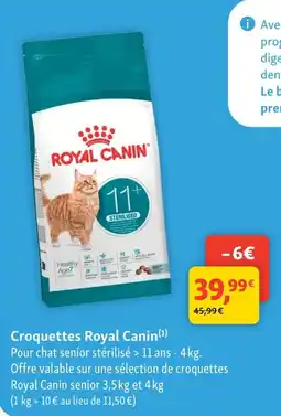 Maxi Zoo Royal Canin Croquettes offre