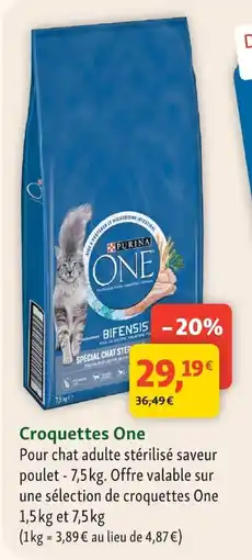 Maxi Zoo Purina One offre
