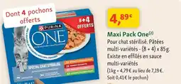 Maxi Zoo PURINA ONE offre