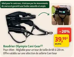 Maxi Zoo Cani Gear Baudrier Olympia offre