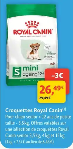 Maxi Zoo Royal Canin Croquettes offre
