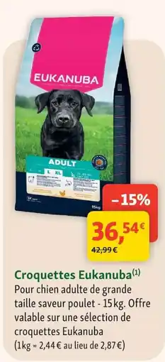 Maxi Zoo Eukanuba Croquettes offre