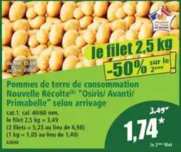 Norma Pommes de terre Osiris/Avanti/Primabelle offre