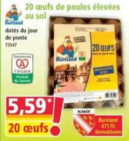 Norma Bureland œufs de poules élevées au sol offre
