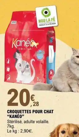 E.Leclerc Kanéo Croquettes pour chat offre