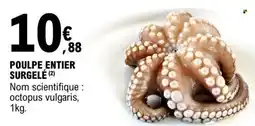 E.Leclerc POULPE ENTIER SURGELÉ offre