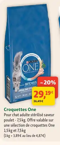 Maxi Zoo Purina croquettes one offre