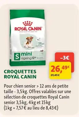 Maxi Zoo Royal canin croquettes offre