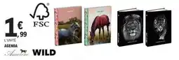 E.Leclerc Amazon - agenda offre