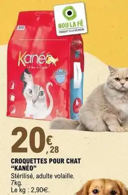 E.Leclerc Croquettes pour chat kane offre