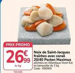 Promo - noix de saint-jacques fraîches avec corail 20/40 peccten maximus