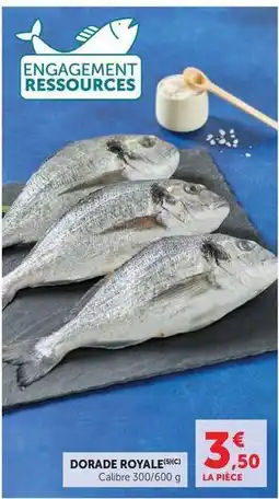 Super U Dorade royale offre
