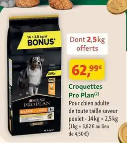 Maxi Zoo Purina - croquettes pro plan offre