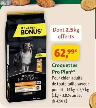 Maxi Zoo Purina - croquettes pro plan offre