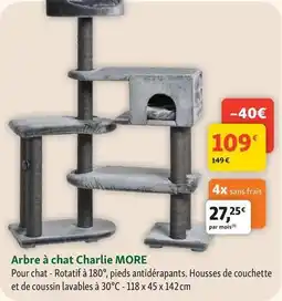 Maxi Zoo More - arbre à chat charlie offre
