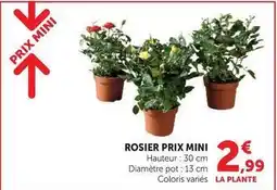 U Express Rosier offre