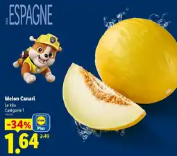Lidl Melon Canari offre