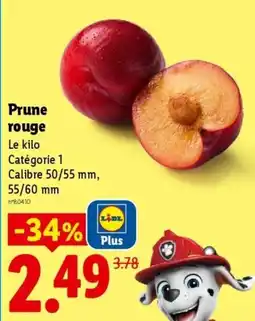 Lidl Prune rouge offre