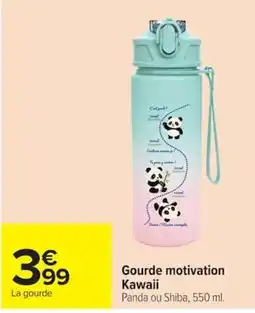 Carrefour Gourde motivation Kawaii offre