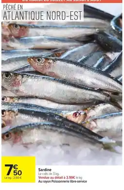 Carrefour Sardine offre