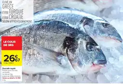 Carrefour Daurade royale offre