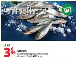 Auchan SARDINE offre