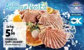 Auchan Pavillon france coquilles saint-jacques offre