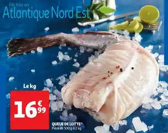 Auchan Queue de lotte offre