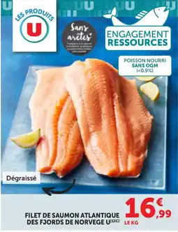 Bi1 U Filet de saumon atlantique offre