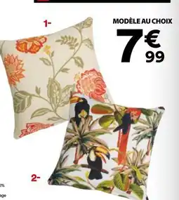 BUT Modele au choix offre