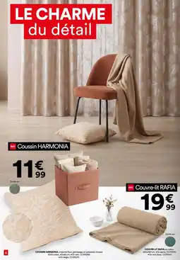 BUT Coussin HARMONIA offre