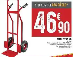 Brico Cash Diable 250 kg offre