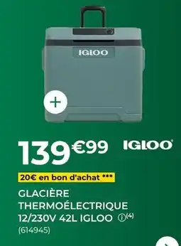 Feu Vert Igloo - glacière thermoélectrique 12/230v 42l offre